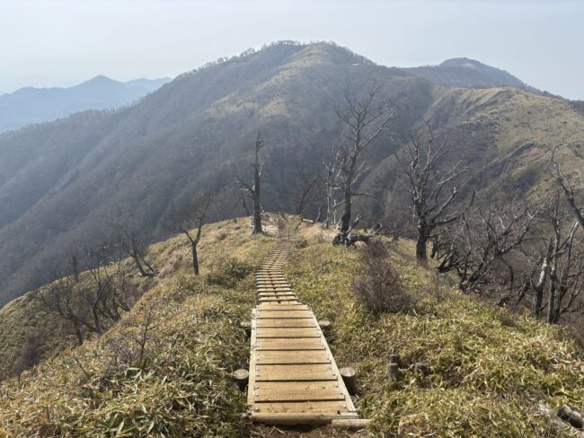 〈レディース登山〉丹沢山～蛭ヶ岳～檜洞丸